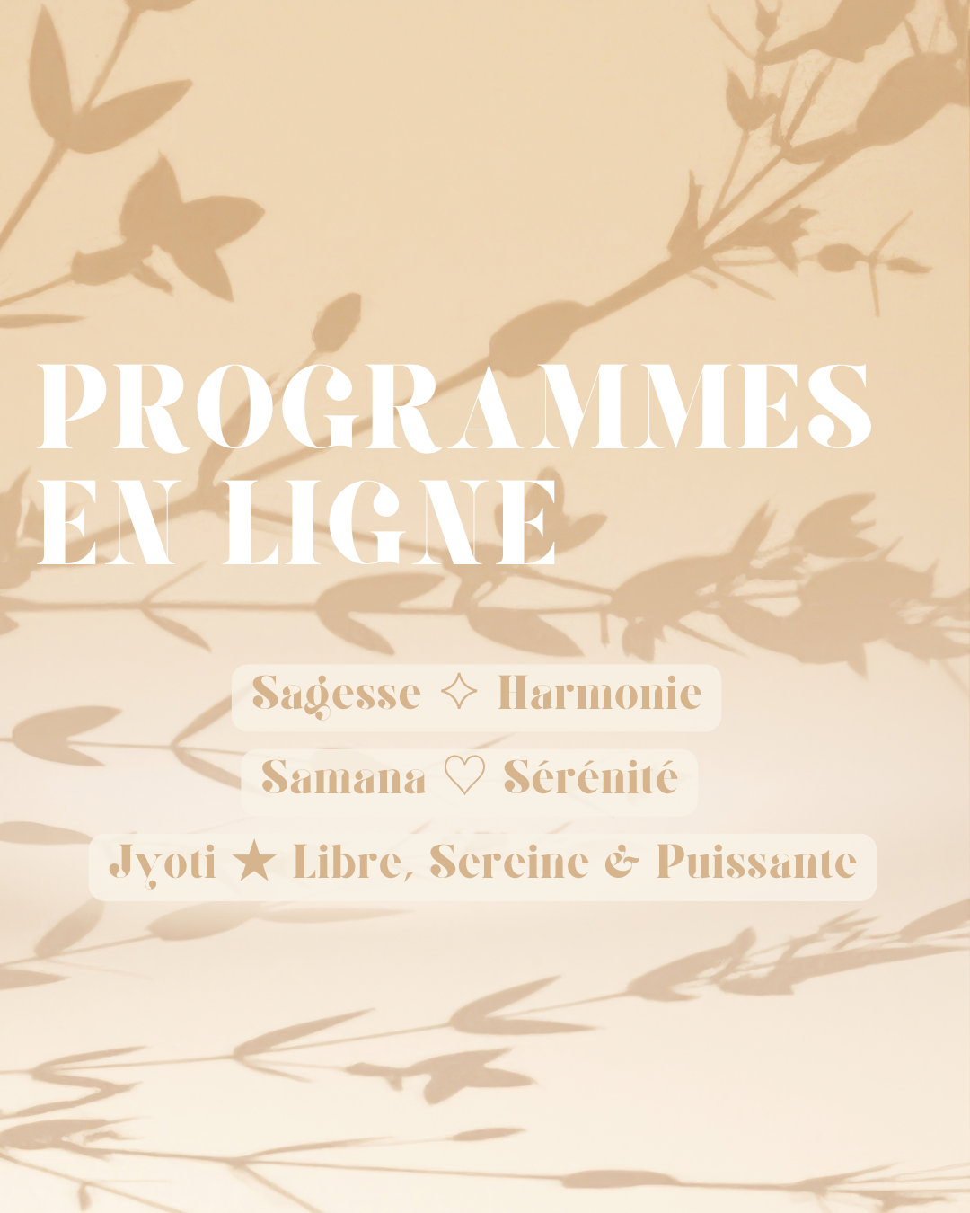 Programme en Ligne